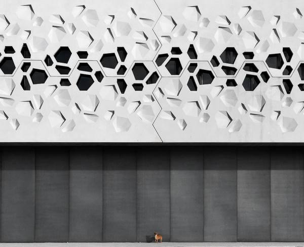 Photograph Andres Gamiz Jimenez  The Big Watchdog on One Eyeland